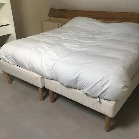 Camelia Apartman